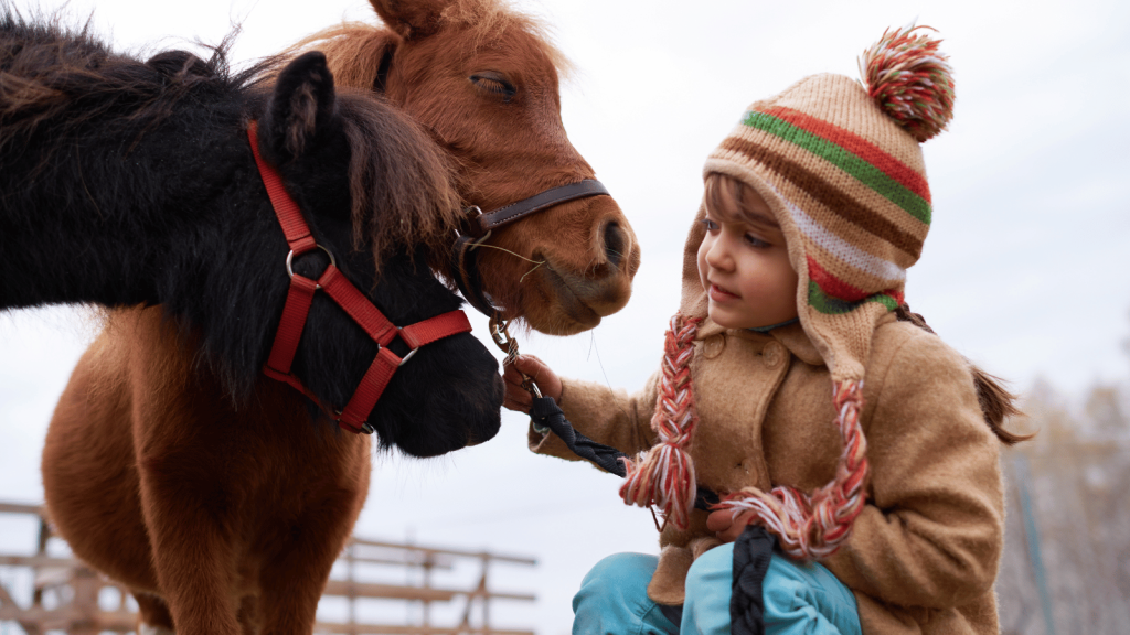 A child in a winter hat gently interacts with two small ponies, illustrating animal-assisted experiences that foster social skills.