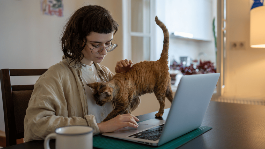 A person works at a laptop while a curly-coated cat walks across the desk for affection, easing the feeling of being alone.