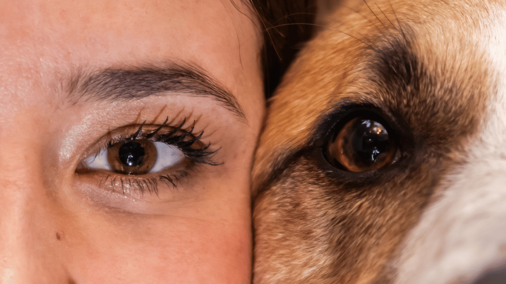 Extreme close-up showing half of a woman’s face next to half of a dog’s face, highlighting both of their eyes in sharp detail.