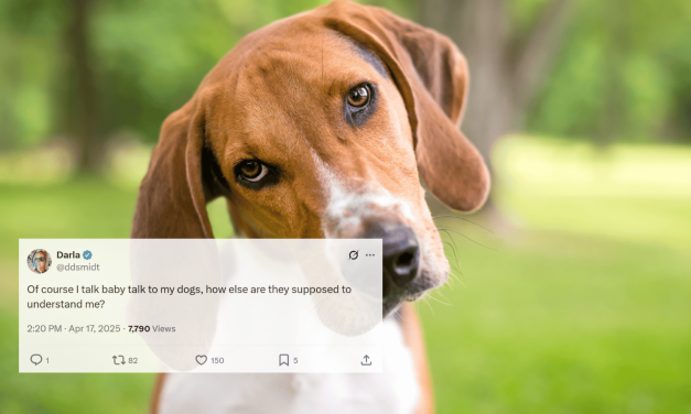 The Shocking Science Behind Why Your Dog Prefers Your Embarrassing Voice Over Your Real One