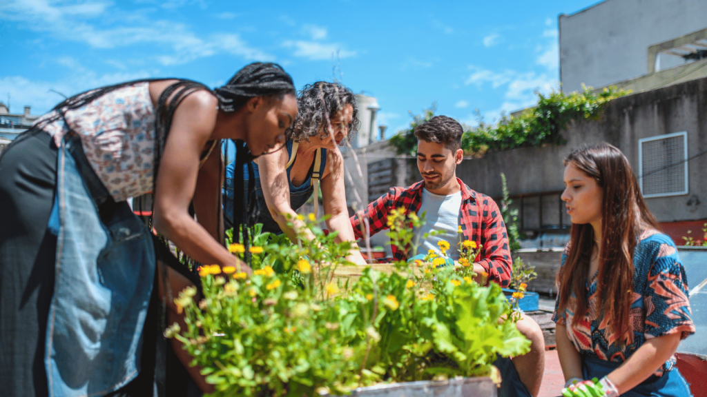 Four people garden together outdoors, tending to green plants and yellow flowers in raised beds. They appear engaged and collaborative under a bright sky.