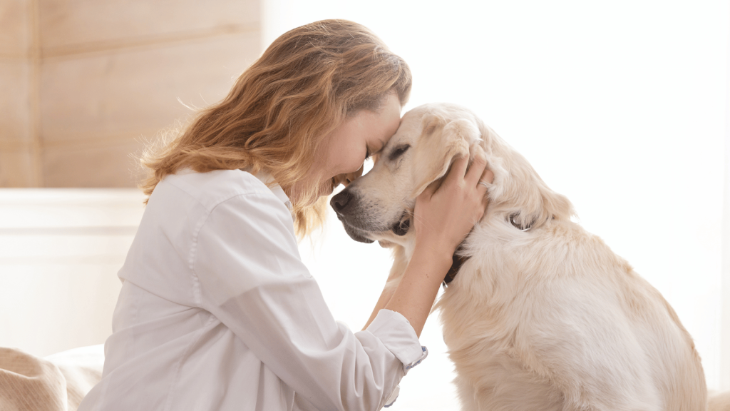 A woman presses her forehead gently against a Golden Retriever’s forehead, holding the dog’s face in both hands in a tender moment.