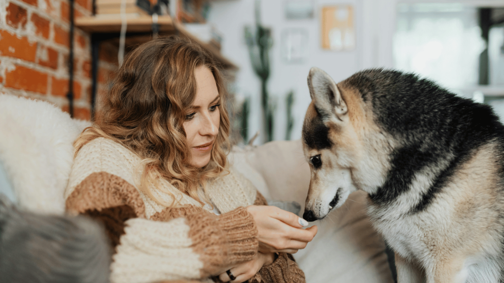 A woman with wavy blonde hair sits on a couch indoors, gently offering something in her hand to a large Husky-type dog leaning toward her.