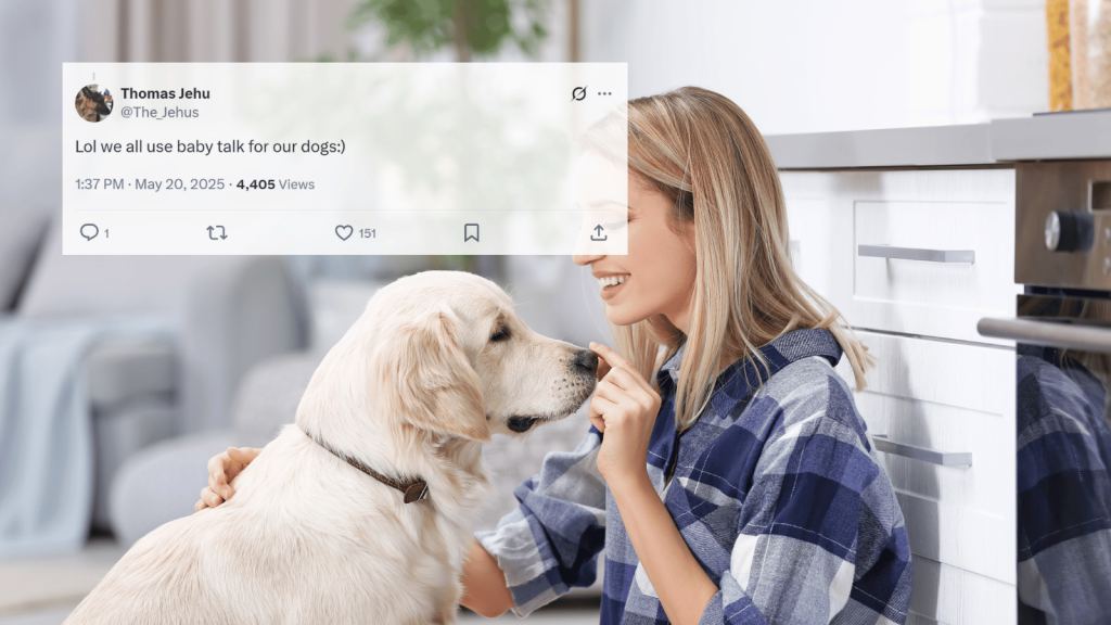 A golden retriever and a woman sit on the floor in a modern kitchen. The woman smiles and gently touches the dog’s nose. Overlaid is an X post from @The_Jehus that says, “Lol we all use baby talk for our dogs:)”