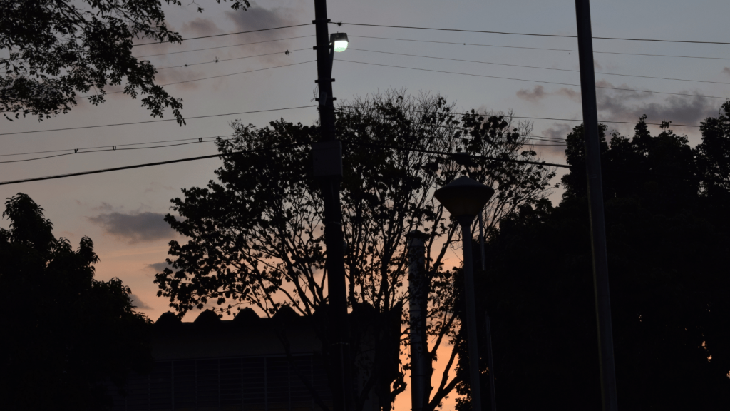 Silhouetted trees, utility poles, and overhead wires appear against a soft orange and blue evening sky. A single streetlight is illuminated near the top of a tall pole. The scene has a calm, dusky atmosphere.