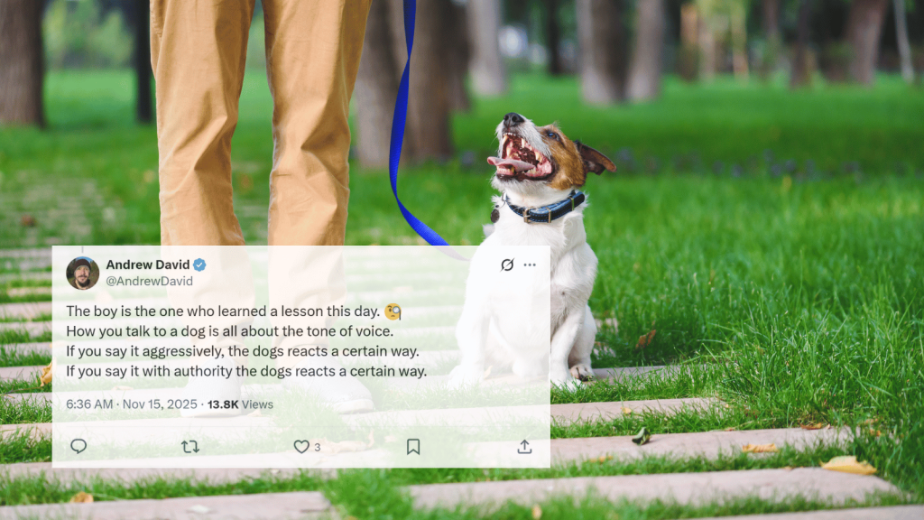 A small white and brown dog on a leash sits on a stone path in a park, looking up at the person holding the leash. Overlaid is an X post by @AndrewDavid saying: “The boy is the one who learned a lesson this day. How you talk to a dog is all about the tone of voice…”