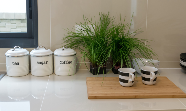 Best Kitchen Canister Sets by Style: 15 Sets That Actually Look Good on Your Counter